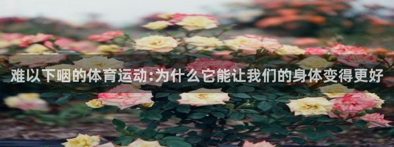 betway西汉姆联官网