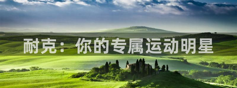 betway西汉姆联官网
