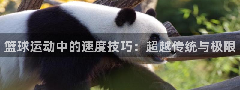 betway西汉姆联官网