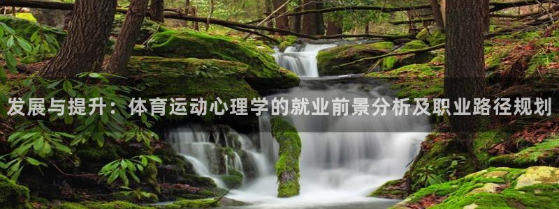 betway西汉姆联官网