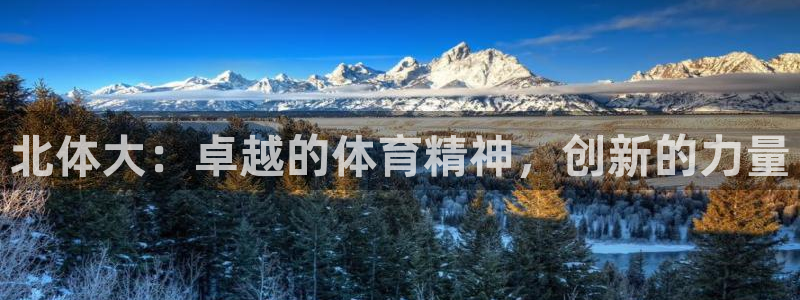 必威betway西汉姆联